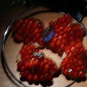 面板搜索小鲤导航
