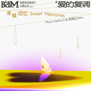 面板搜索小鲤导航
