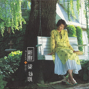 面板搜索小鲤导航
