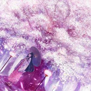 面板搜索小鲤导航
